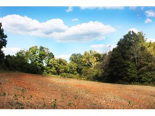 Property photo 2 - LAND AUCTION - 261+/- ACRES IN BRECKINRIDGE COUNTY